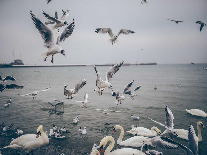 sudoku pro version screenshot 3